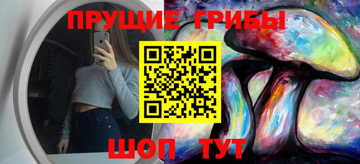 Псилоцибиновые грибы GOLDEN TEACHER Куйбышев
